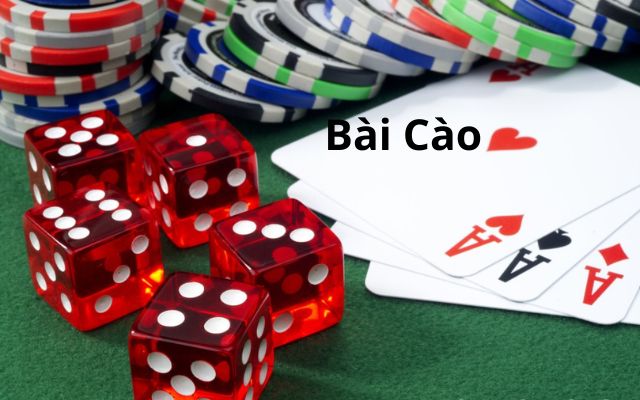 Tìm hiểu bài Cào